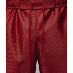 Brooklyn Cat Scratch Shorts