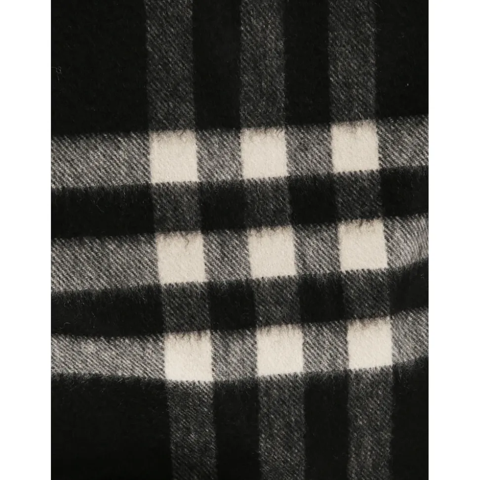 Burberry Scarfs
