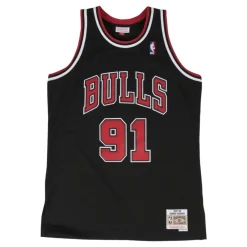 Chicago Bulls Rodman Swingman Jersey