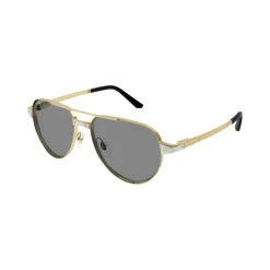 CT0425S Solbriller