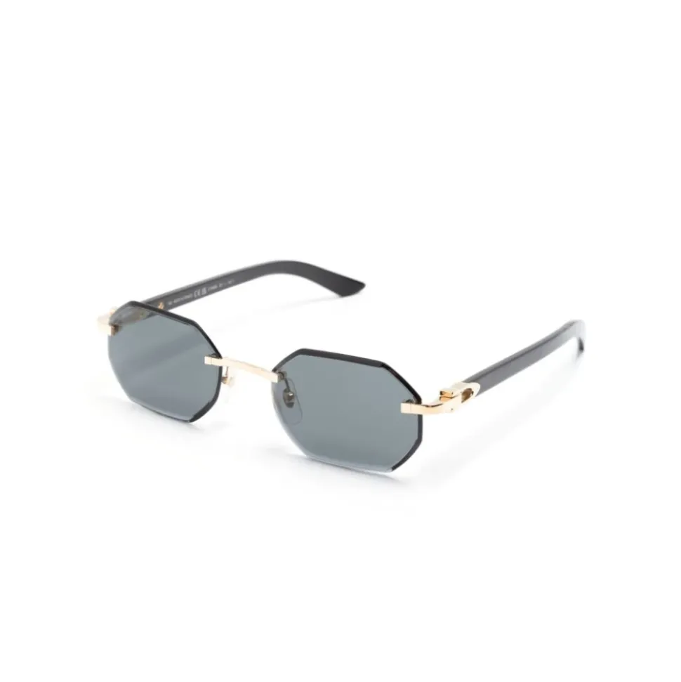 CT0439S Solbriller