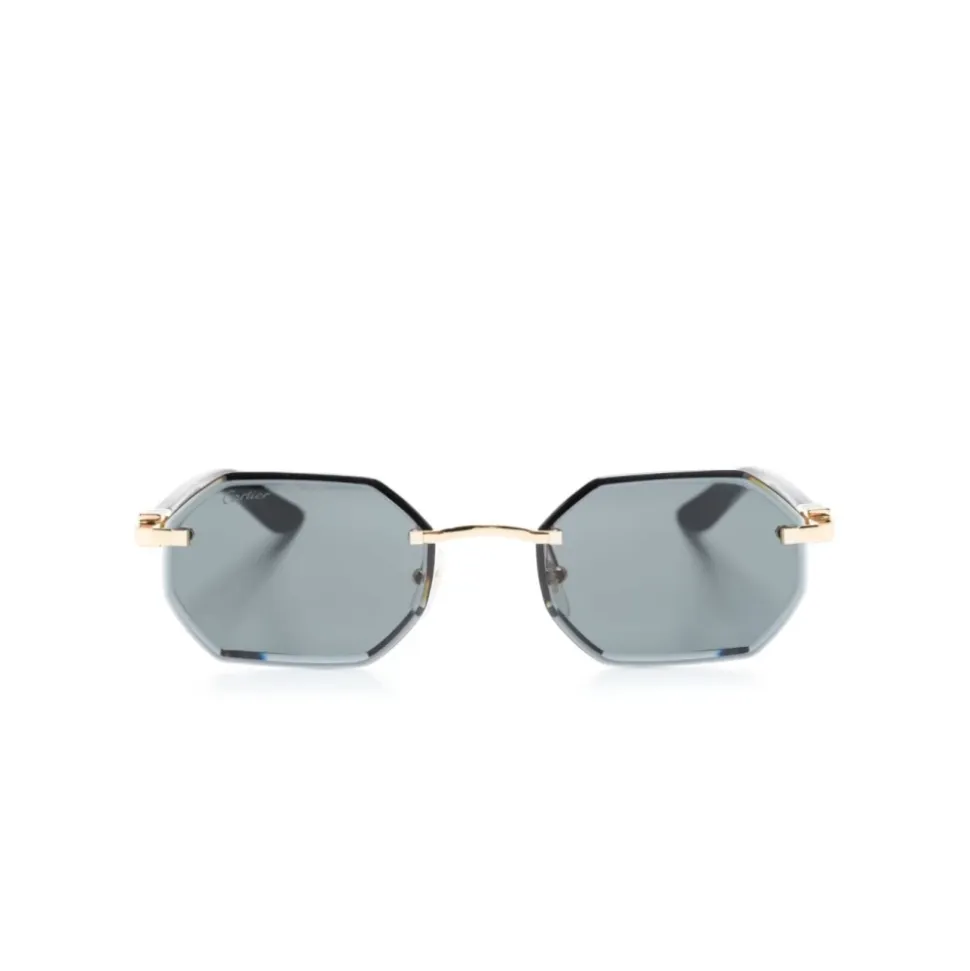 CT0439S Solbriller
