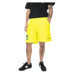 Embroidered Woven Short