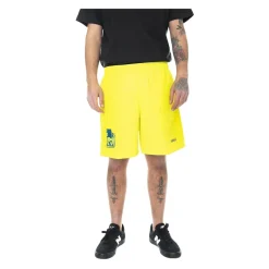 Embroidered Woven Short