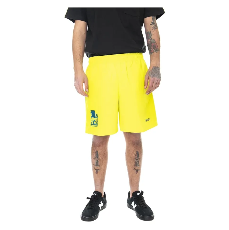 Embroidered Woven Short