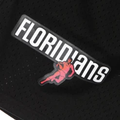 Miami Heat Basketball Shorts 2005 Swingman
