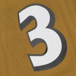 NBA Swingman Jersey Hardwood Classics