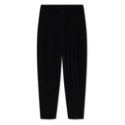 Pleated Trousers