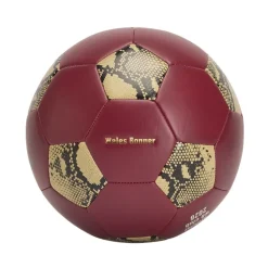 Sport Accessories