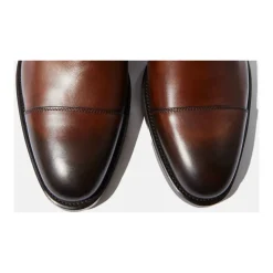 Totò Chestnut