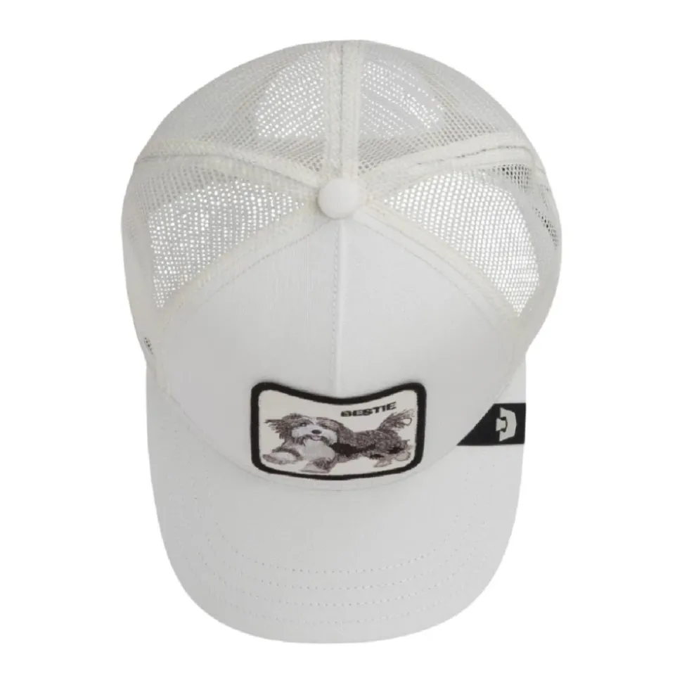 Trucker Caps